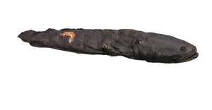 Poisson Fumé  (Mongusu ou Nzombo)100g
